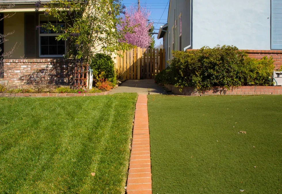 Understanding Property Line Disputes in South Carolina